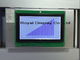 집단 / 자동차 라디오 / 에어컨을 위한 광역 작동 그래픽 LCD 모듈