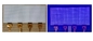 12.3인치 LCD/LED 모듈 AM 로컬 디밍 사용자 정의 64*24 덤 건설