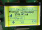 180X100 도트 RYG180100A 그래픽 COG LCD 모듈 FSTN STN Postive ISO