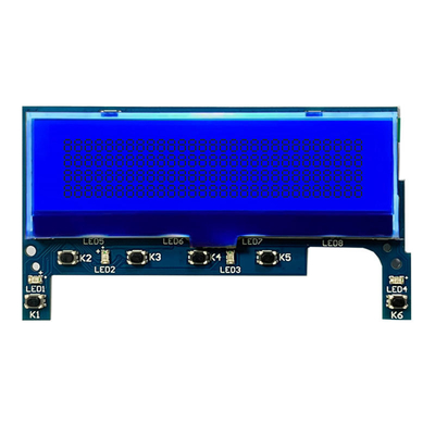 160X32 도트 매트릭스 엘시디 판넬 Aip31020 IC 자동차 평행한 사실적 LCD 모듈