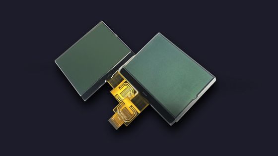 FSTN 포지티브 UC1698 LCD 7 세그먼트 디스플레이 160X160 코그 그래픽 LCD 모듈