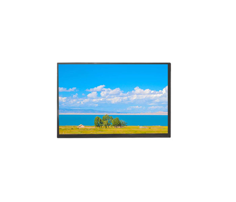 15.6' 1920*1080 RGB 티안마 모든 뷰 OLED 고 콘트라스트 Lvds LCD 모듈