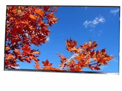 11.6' 1920*1080 티안마 FHD SFT TFT LVDS 터치 LCD 모듈